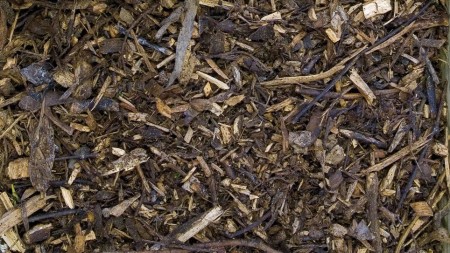 Earnshaws Landscape Forest Mulch Per Cubic Metre